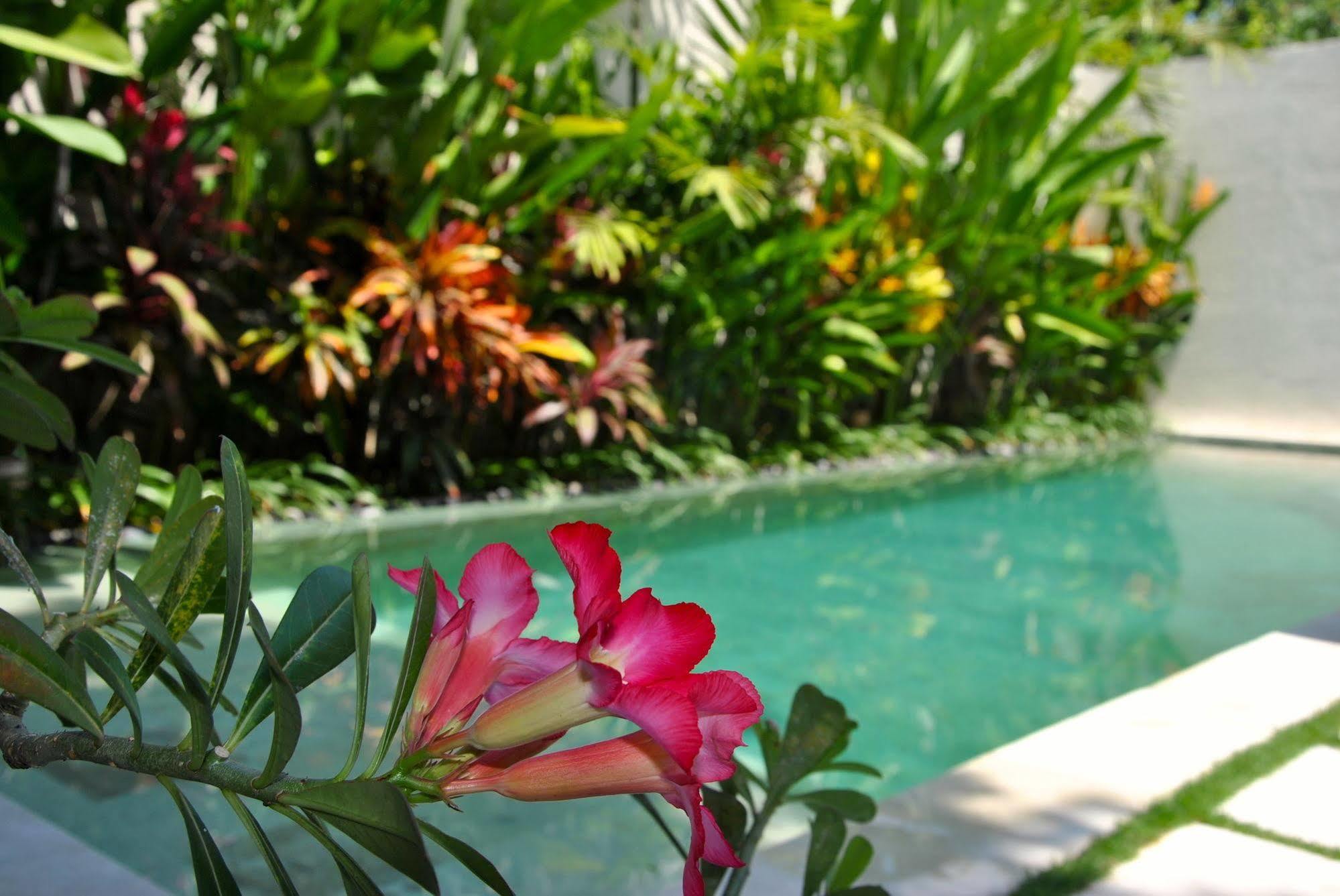 Villa Bali Asri Batubelig Семіньяк Екстер'єр фото
